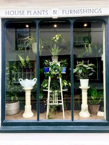 The Green House image 1