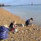 Wildlife Watch Wild Beach Child at Rye Harbour Nature Reserve (420337035)