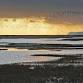 Evening Bird Safari at Rye Harbour Nature Reserve (420337035)
