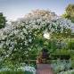 Lunch and Afternoon at Perch Hill and Evening at...