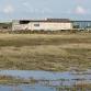 Corporate Wild Work Day: Conservation Day at Rye Harbour Nature Reserve