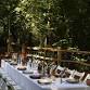 Forest Feast: Firelight Dining by Simon Stallard