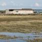 Corporate Wild Work Day: Conservation Day at Rye...