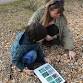 Wildlife Watch Plants and Prints at Rye Harbour Nature reserve (420337035)