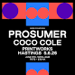 More Fountains x Prosumer