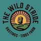 The Wild Stride Festival at Tibbs Farm, Rye on 11 Jul 2026