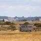 Corporate Wild Work Day: Conservation Day at Rye...