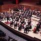 The Lark Ascending by Ensemble 360