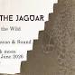 Call of the Jaguar