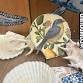 Shell Decoupage