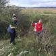 Corporate Wild Work Day: Conservation Day at Rye...