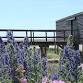 Hatch Happy - Mini Away: Nest, Nourish & Nurture in Rye