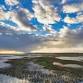 Spring Pie and Mash Evening with a View at Rye Harbour (420337035)