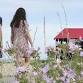Summer Wildflower Walk at Rye Harbour Nature...