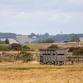 Corporate Wild Work Day: Conservation Day at Rye Harbour Nature Reserve