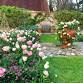 Tulip Festival at Pashley Manor Gardens
